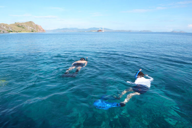 Picture of Snorkeling Komodo Island | Komodo Island Tour Package